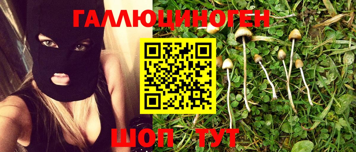 Псилоцибиновые грибы Cubensis  Вход с VPN  Псилоцибиновые грибы Psilocybe  Кольчугино 